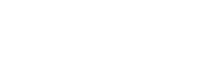 ISVISION Seg